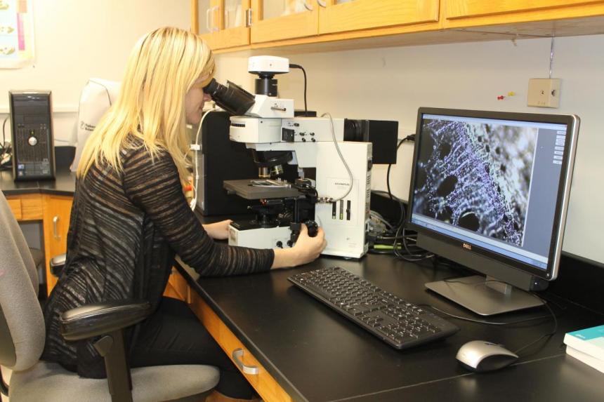 Bioarchaeology and Biochemistry Lab Biological Anthropology Lab Complex